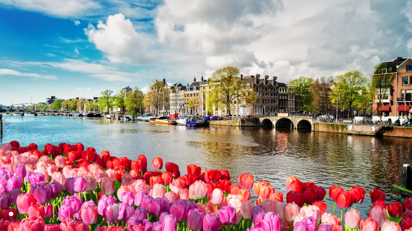 Cheap Business Class Flights From Chicago (ORD) To Amsterdam (AMS)