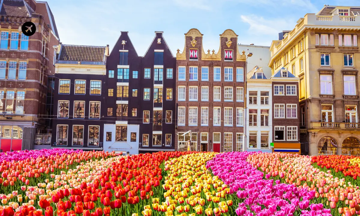 Cheap Business Class Flights from Dallas (DFW) to Amsterdam (AMS) | TravelGuzs
