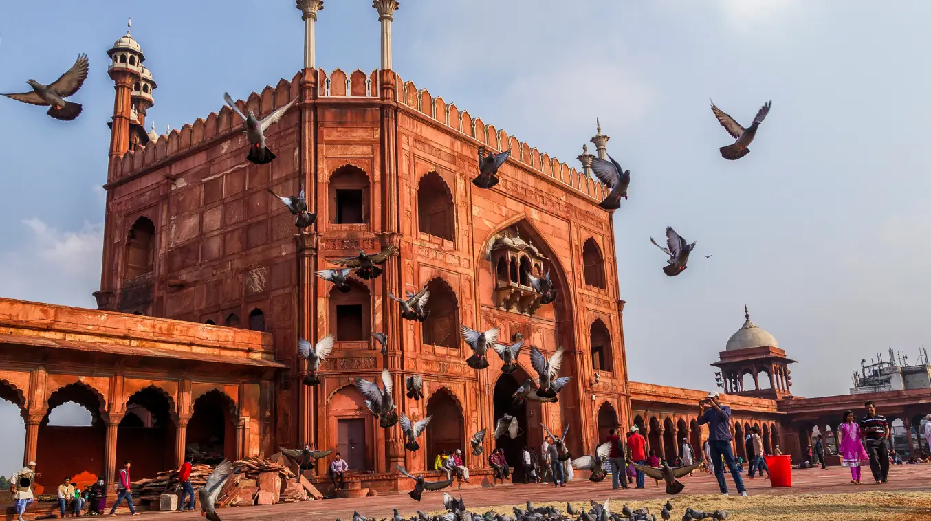 Cheap Business Class Flights From Dallas (DFW) To New Delhi (DEL)