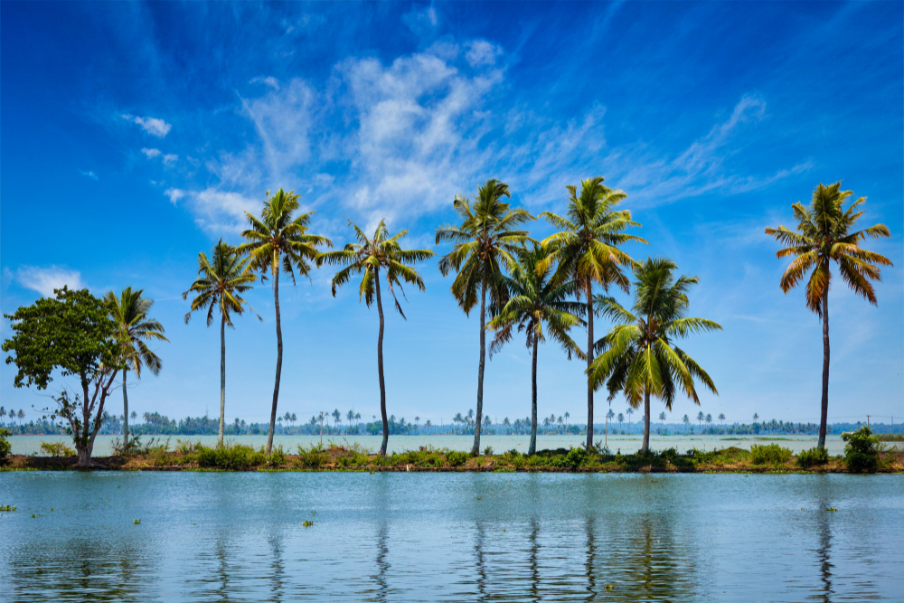 Cheap Business Class Tickets To Trivandrum