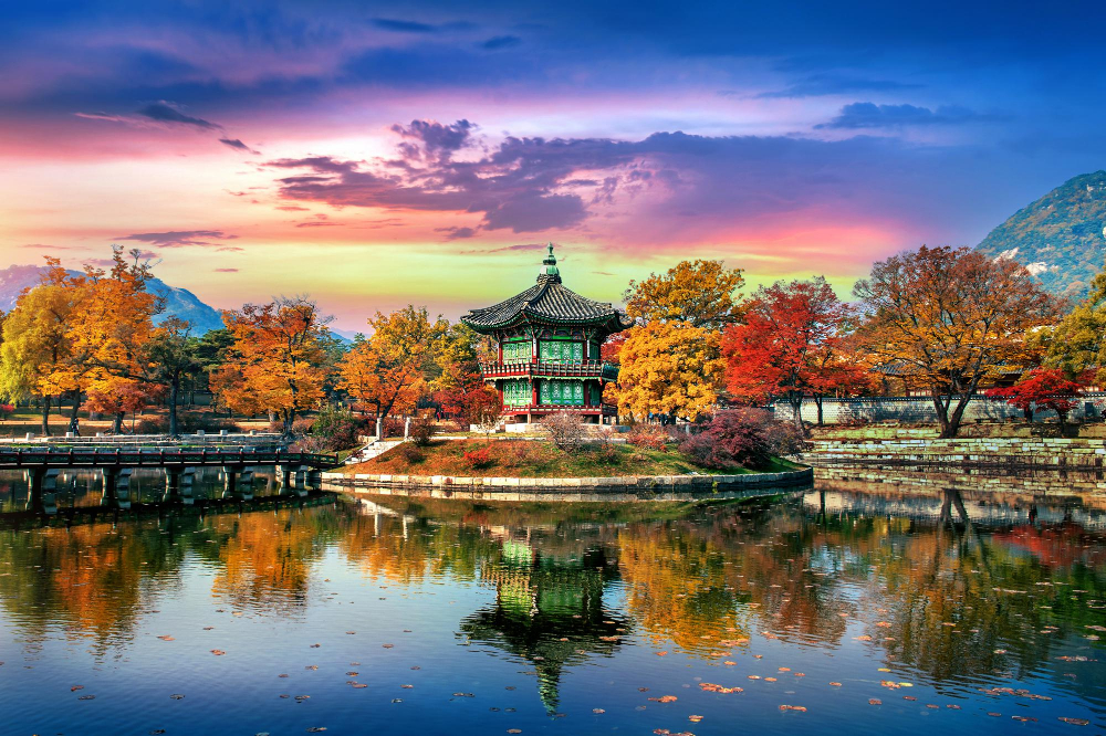 Cheap Business Class Tickets To Seoul