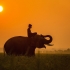 11 Day Tanzania Safari Tour