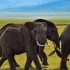 11 Day Tanzania Safari Tour