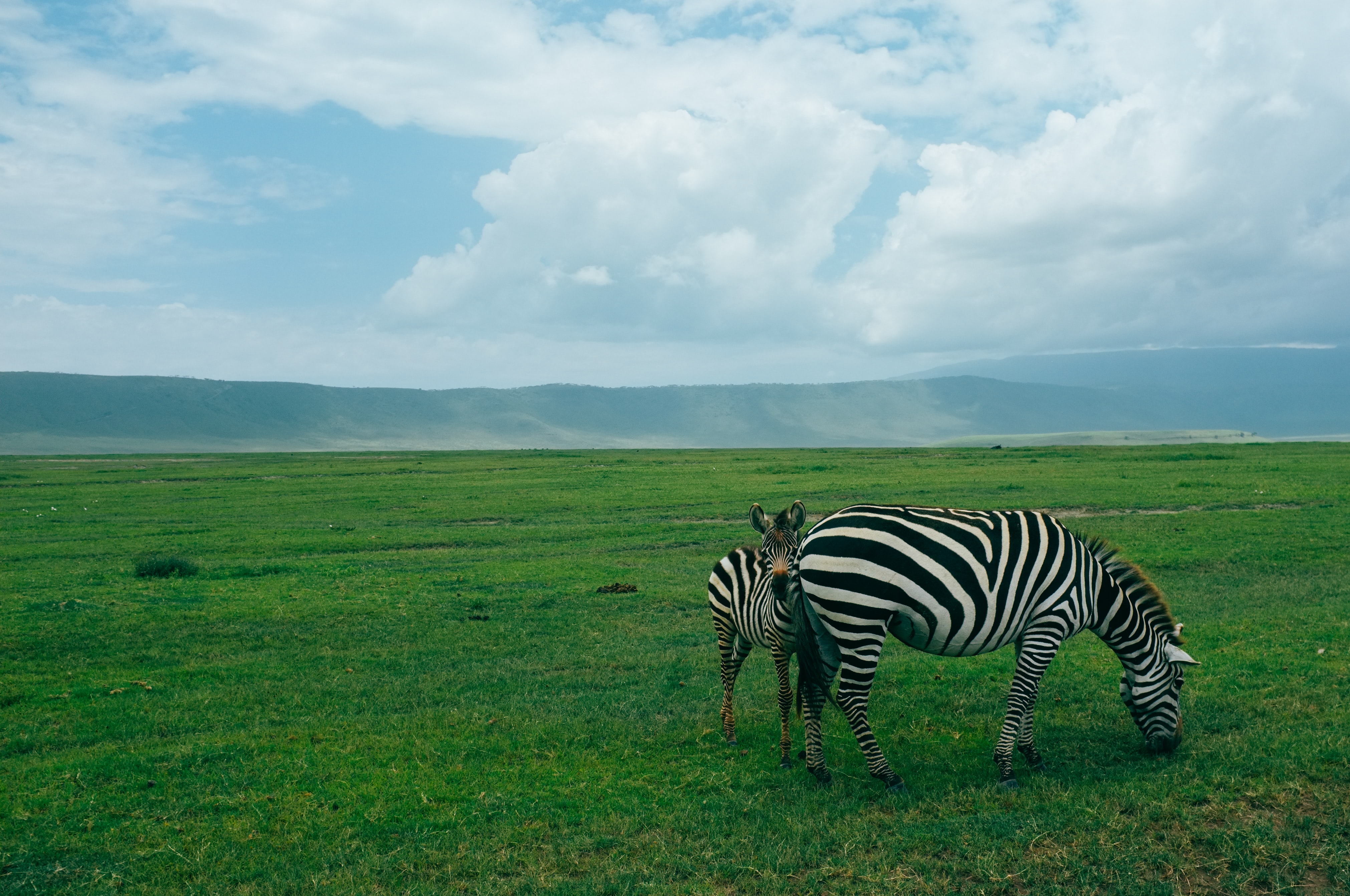 11 Day Tanzania Safari Tour