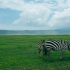 11 Day Tanzania Safari Tour